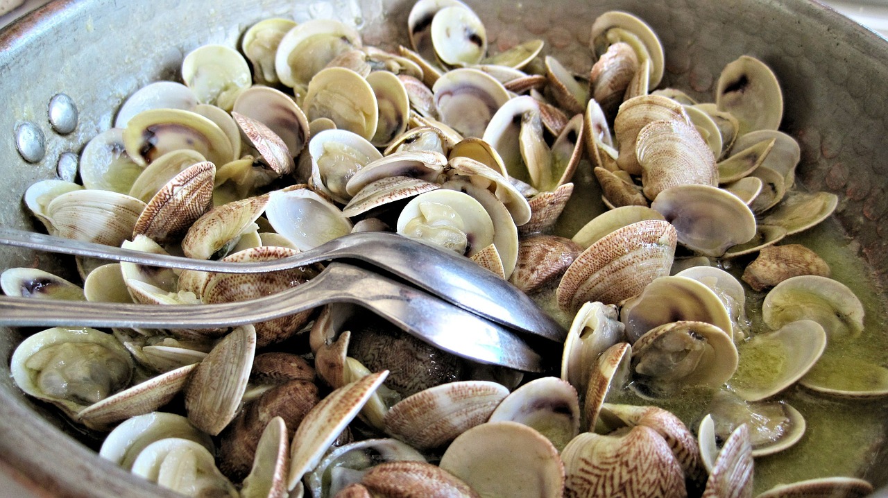 Read more about the article Insalata marinara alle vongole